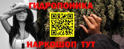 spice Балашиха