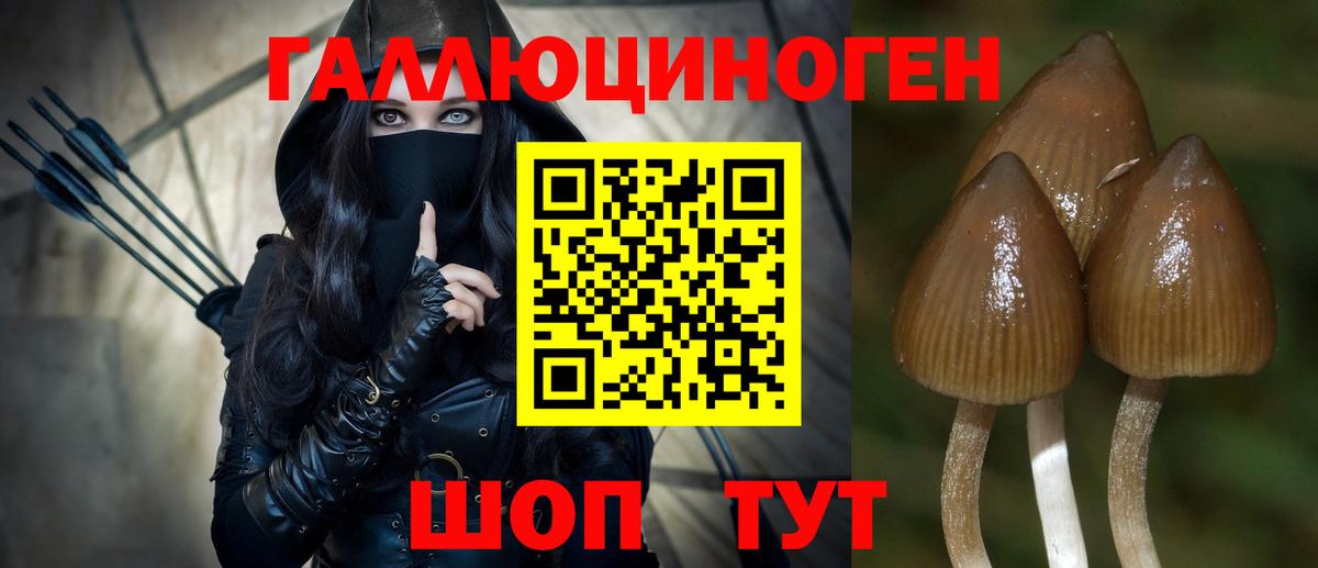 Еманжелинск  где продают   Псилоцибиновые грибы GOLDEN TEACHER  Вход с VPN  Псилоцибиновые грибы ЛСД 